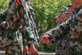 军训最新爆料,最新爆料揭秘神秘训练内容  第3张