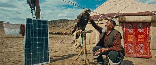 远去的牧歌爆料视频播放,揭秘视频背后的感人故事 第2张 远去的牧歌爆料视频播放,揭秘视频背后的感人故事 第2张